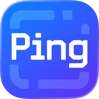 域名Ping检测与IP解析